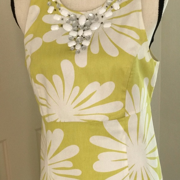 Ann Taylor Loft dress. Size 6 - Picture 3 of 7